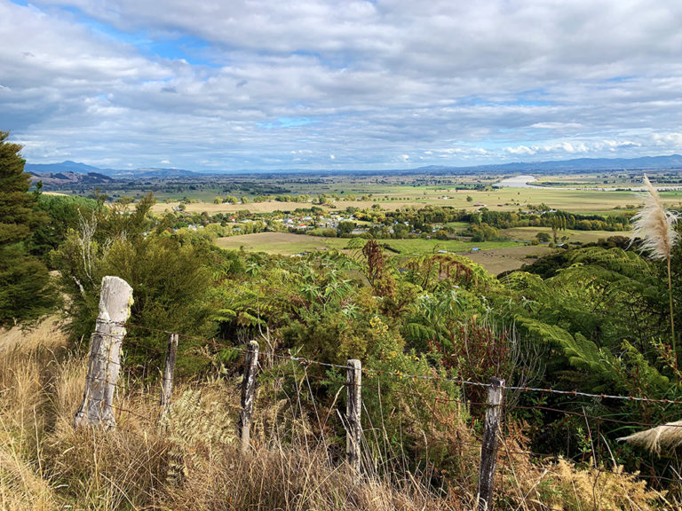 Read more about the article Hauraki develops biodiversity strategy