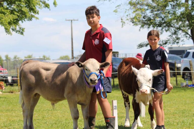 Read more about the article Bulls for schools: Hikutaia’s funding bid for new van 