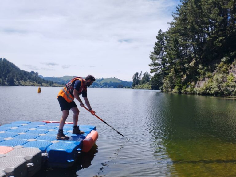 Read more about the article Swimmers: keep eyes open for toxic algae