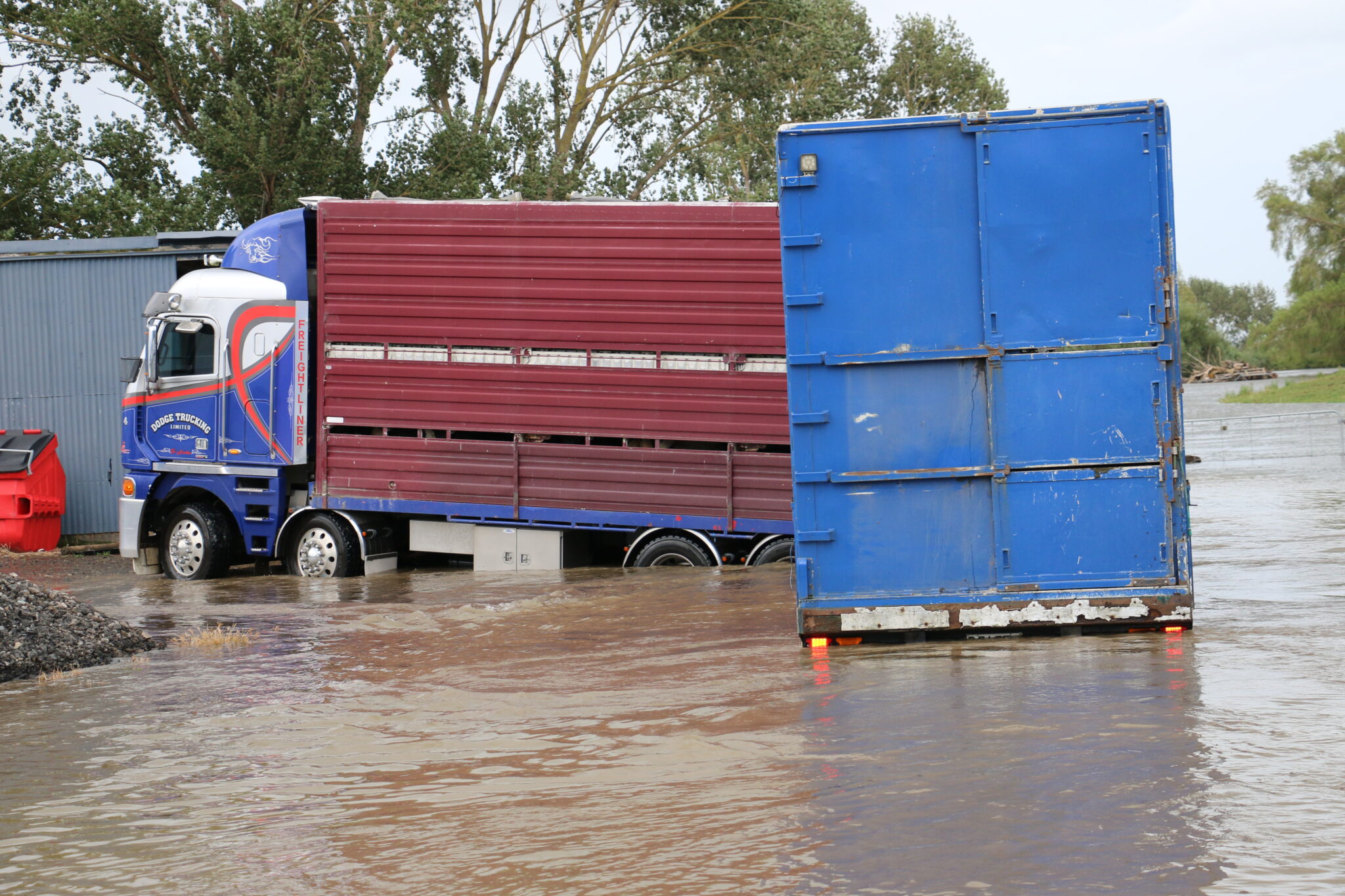 cattle-rescue-after-deluge-the-valley-profile