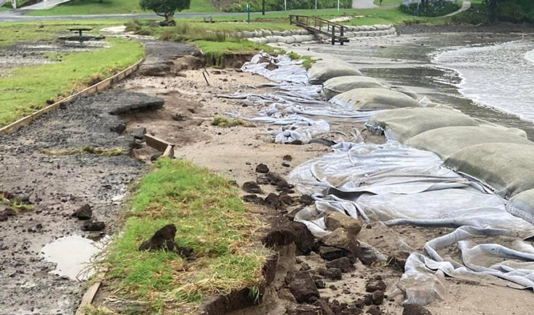 Read more about the article Council updates Shoreline Management project after Cyclone Gabrielle