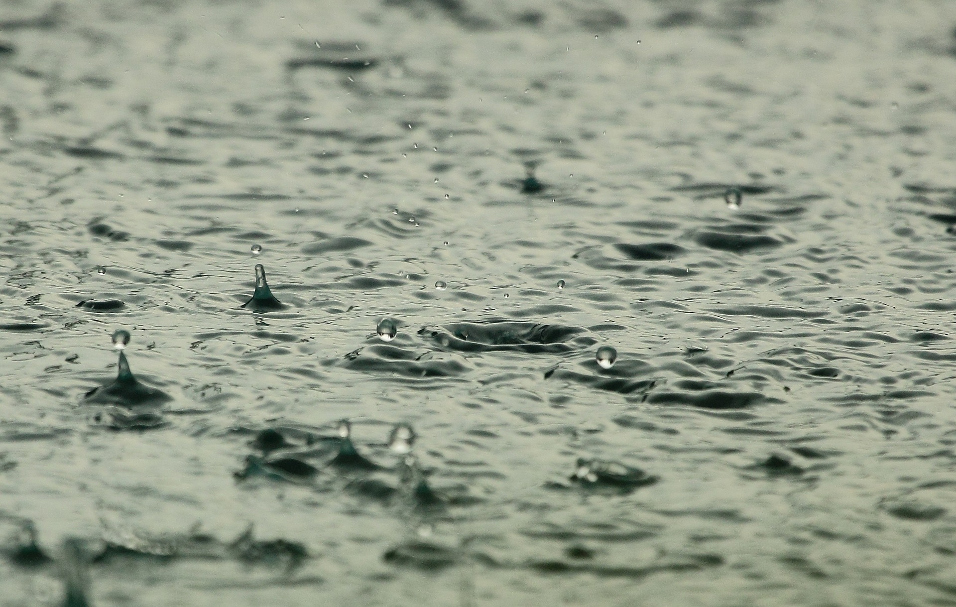 You are currently viewing Heavy rain for Coromandel today