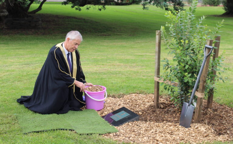 Read more about the article Pōhutukawa marks coronation