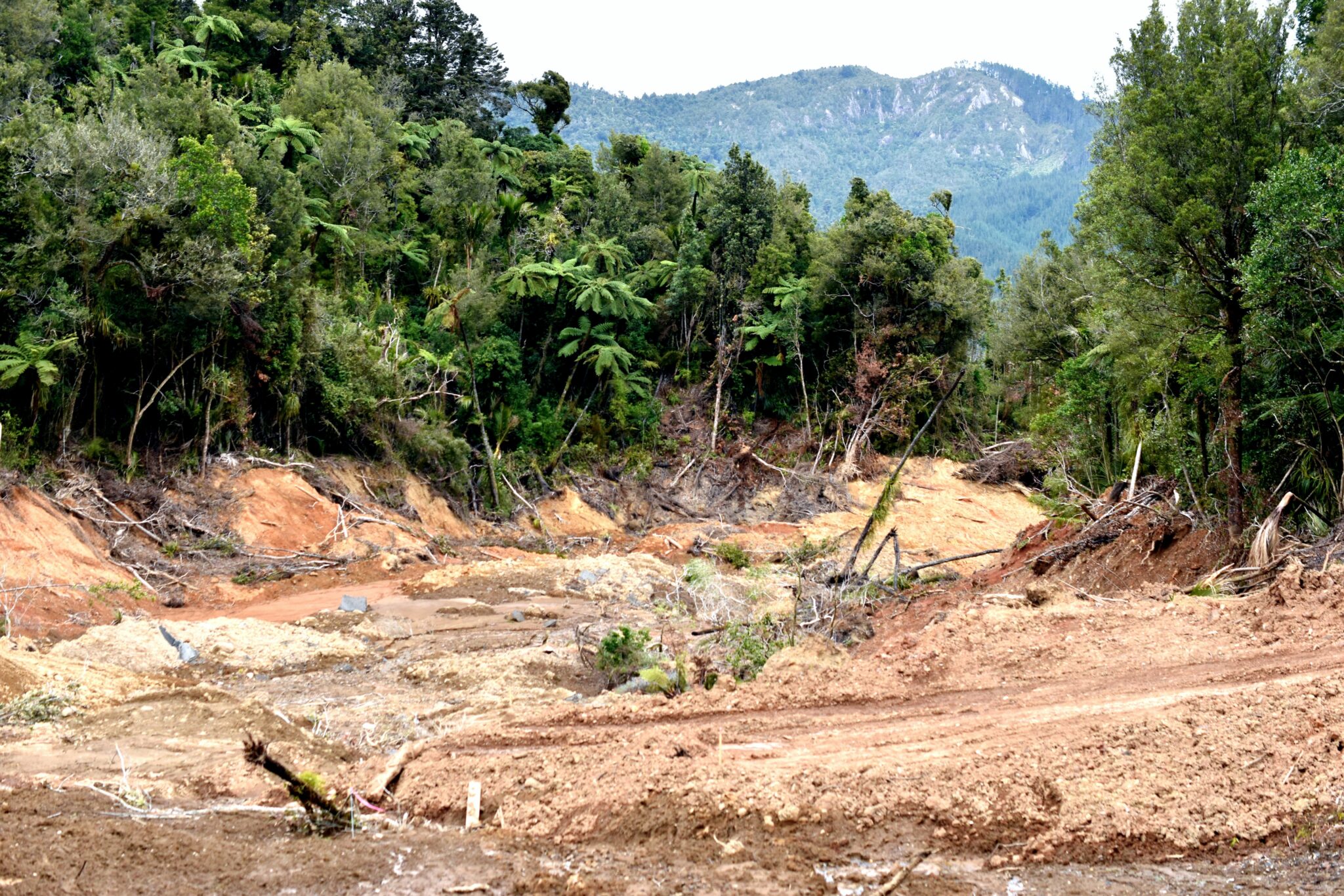 Cyclone recovery to take ‘many years’ The Valley Profile