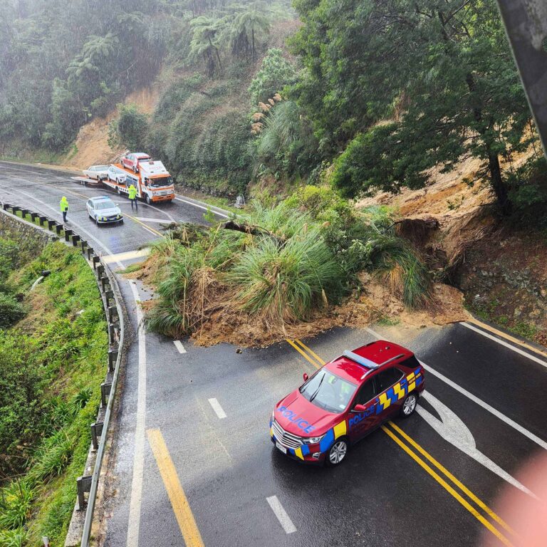 Read more about the article Karangahake Gorge under stress