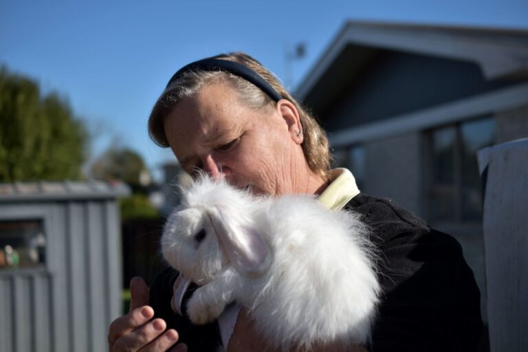 Read more about the article Paeroa rabbit show sure to breed delight