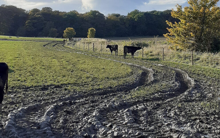 Read more about the article Waikato catchments ‘vulnerable’ – WRC