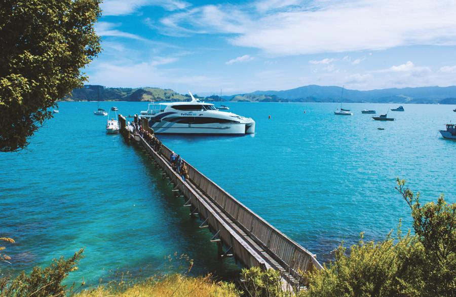 You are currently viewing Coromandel ferry service remains on hold for summer