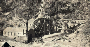 Read more about the article Quartz discovered under fallen Kauri tree