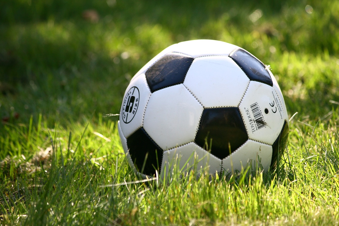 You are currently viewing Waihi Men’s football results