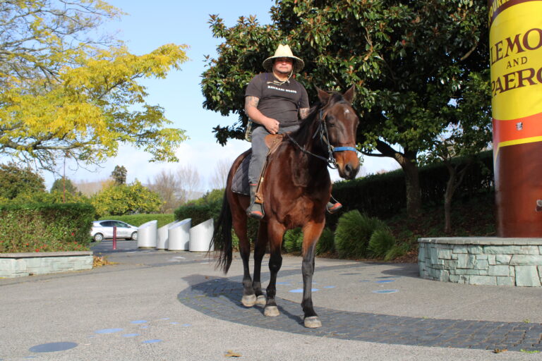 Read more about the article Roaming Paeroa streets