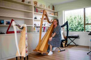 Read more about the article Strings that soothe: an introduction to harp