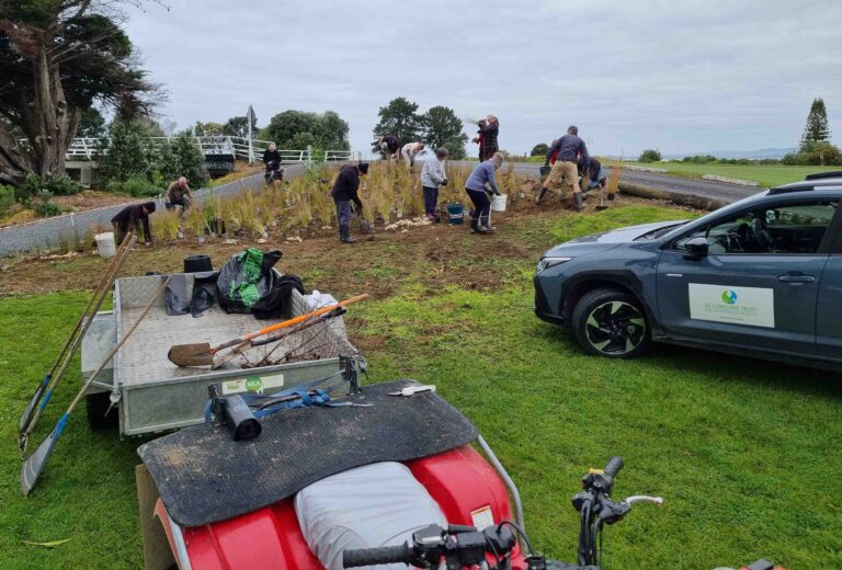 Read more about the article Busy bees get stuck in at Kaiaua stream planting day