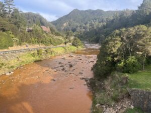 Read more about the article Toxic mining sediment ‘appears to be shifted’