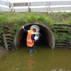 Read more about the article Record fine for dairy effluent a ‘wake-up call’