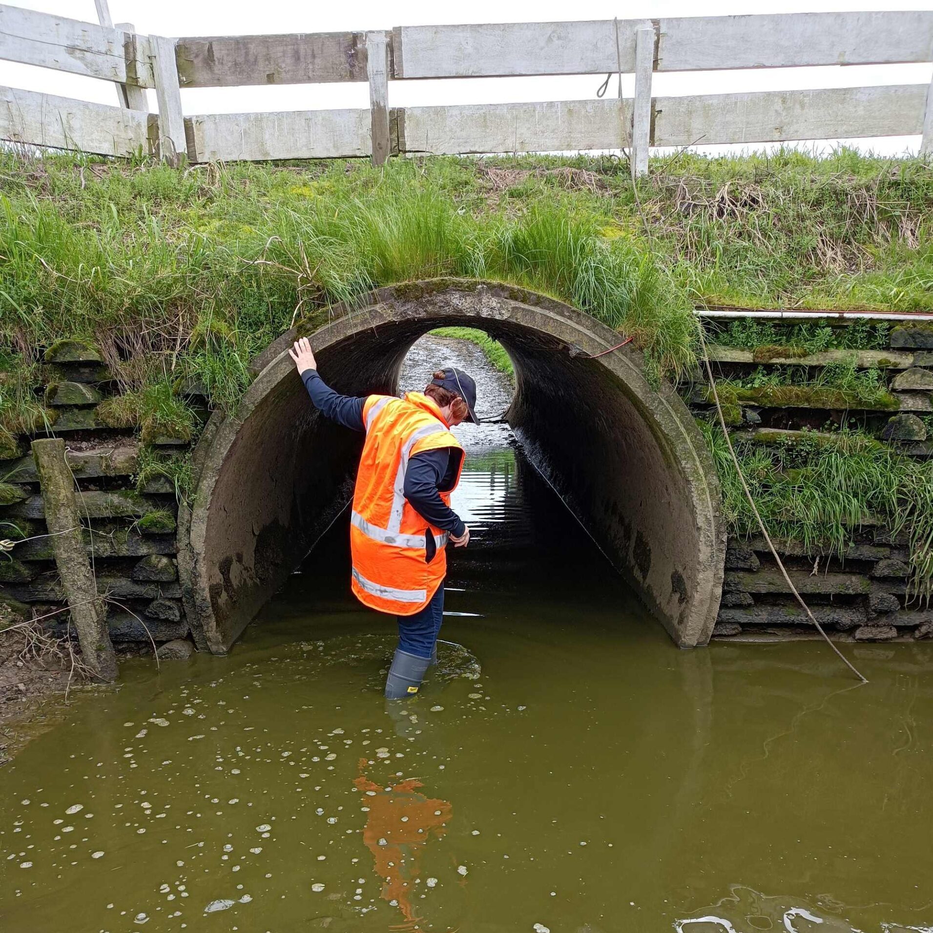 You are currently viewing Record fine for dairy effluent a ‘wake-up call’