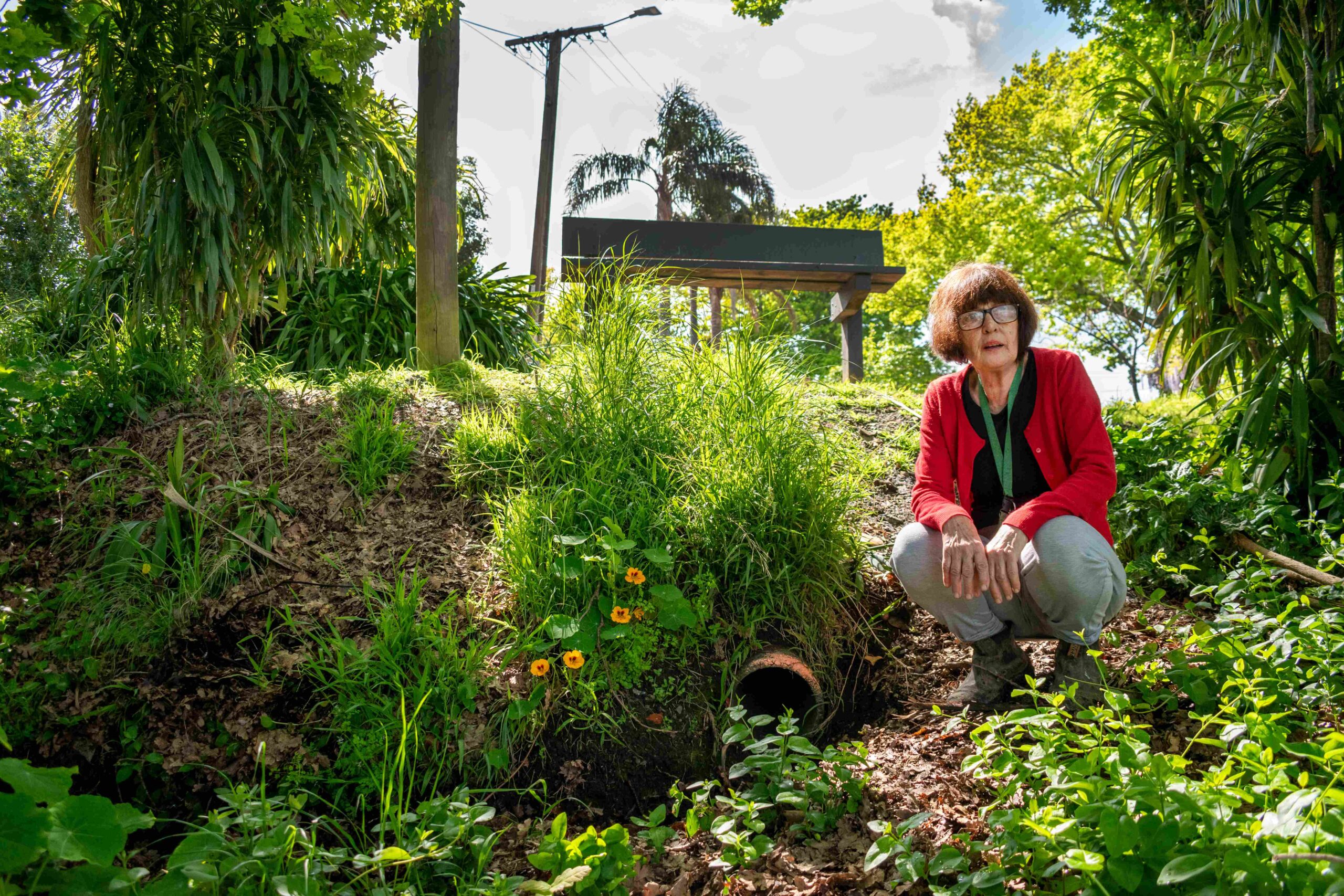 You are currently viewing Council drain causes concern