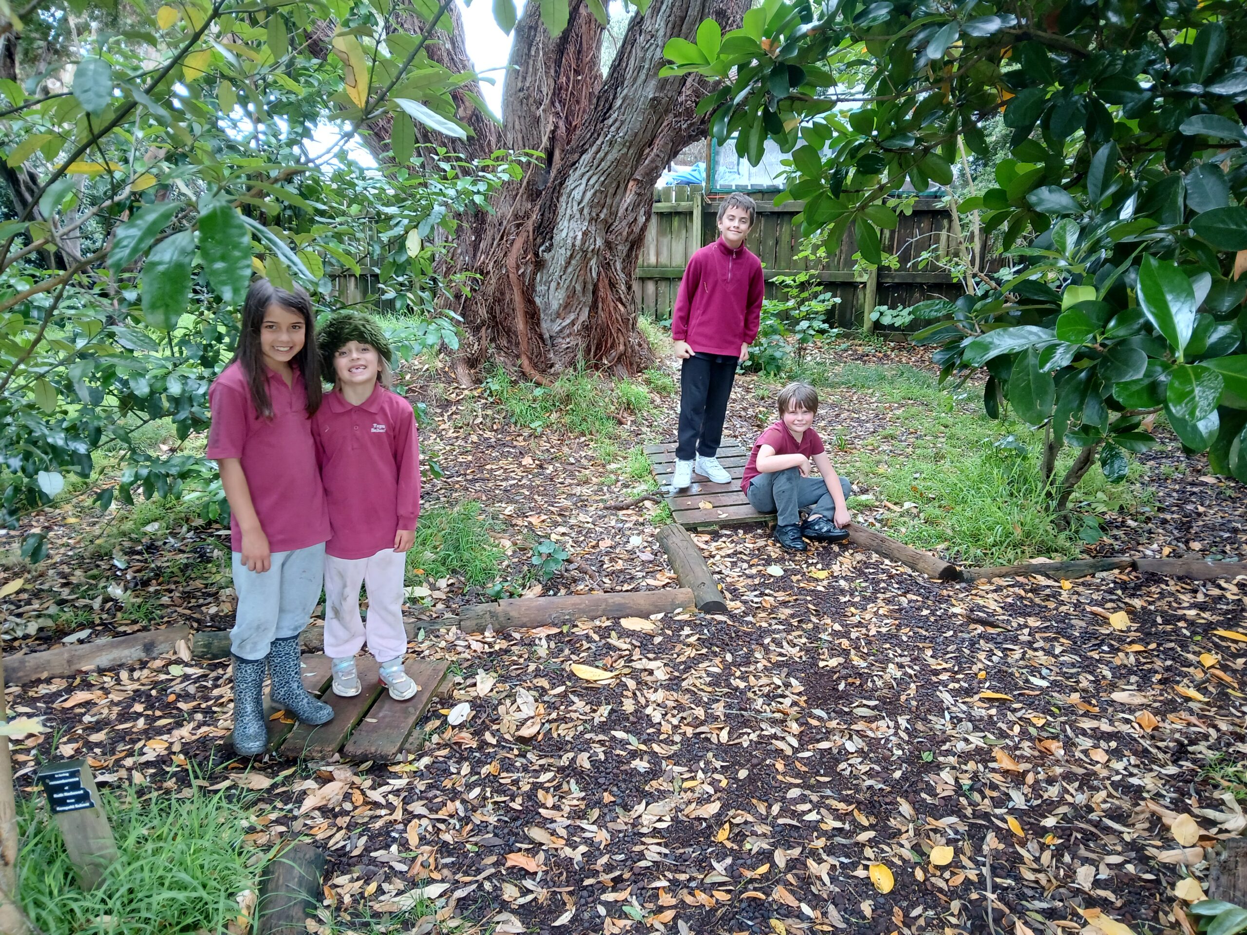 You are currently viewing Tapu School – Kaitiaki o te Ngāhere