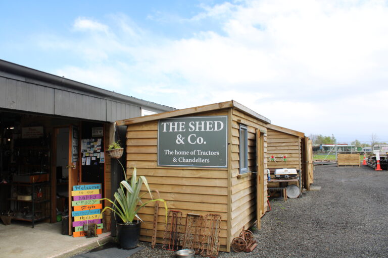 Read more about the article Explore the Shed & Co