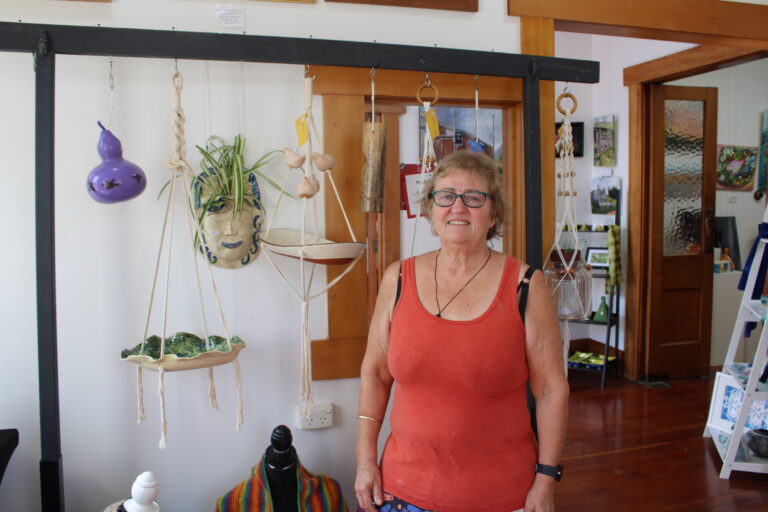 Read more about the article Inspired artist to showcase in Paeroa