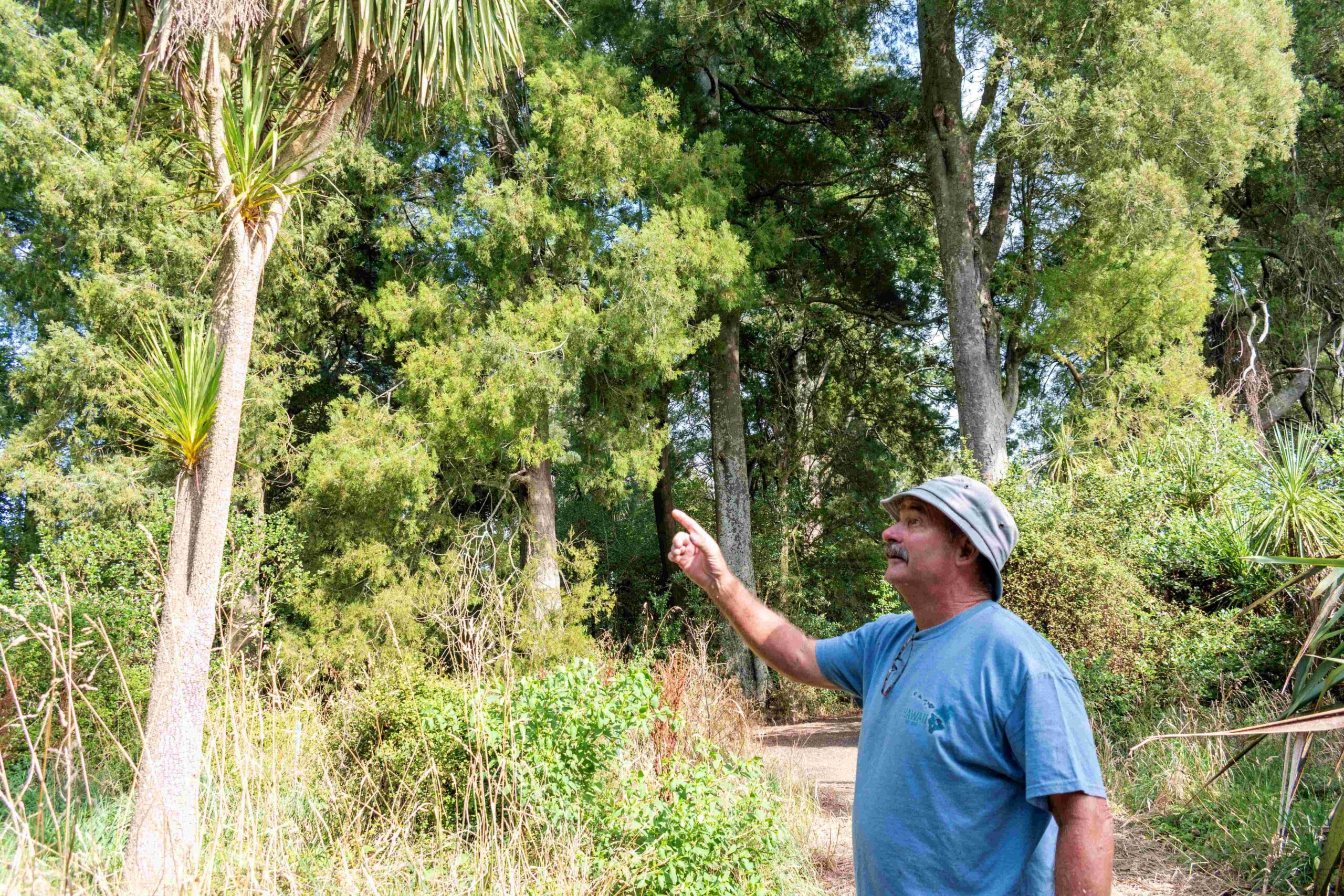 You are currently viewing Stormwater an innovative irrigation solution