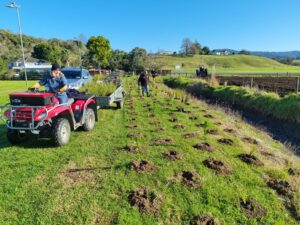 Read more about the article Catchment group eyes Hauarahi Stream