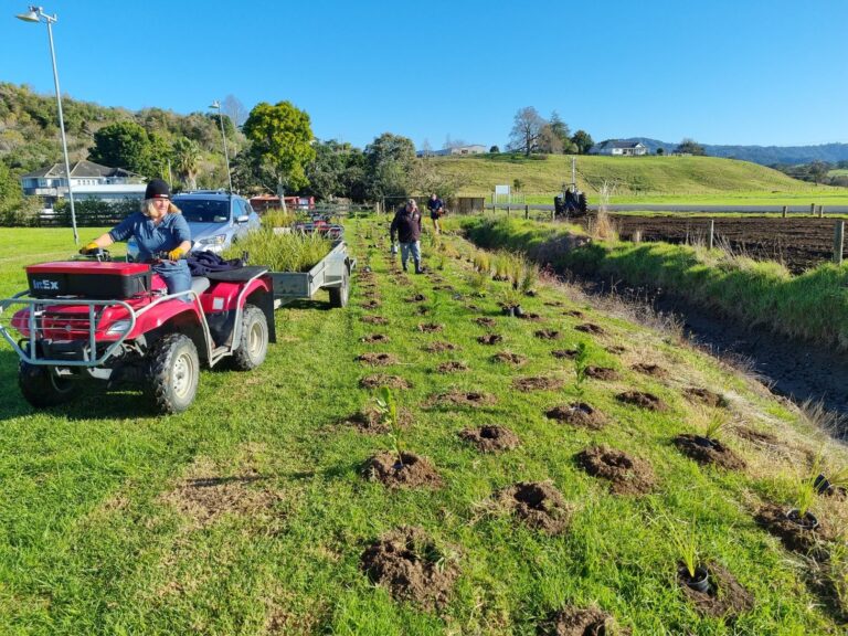 Read more about the article Catchment group eyes Hauarahi Stream