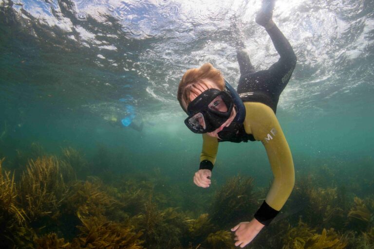 Read more about the article Dipping toes into marine conservation